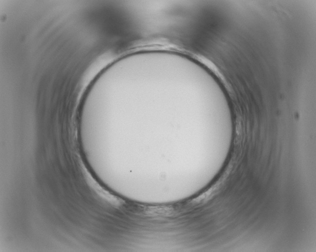 X0000066091466200603241445