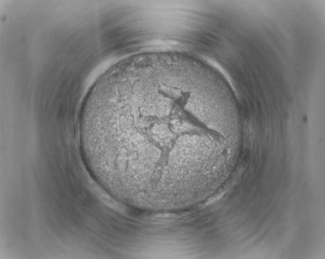 X0000066091467200603241445