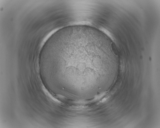 X0000066091468200603241445