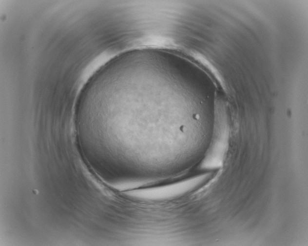 X0000066091469200603241444