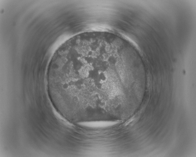 X0000066091471200603241444