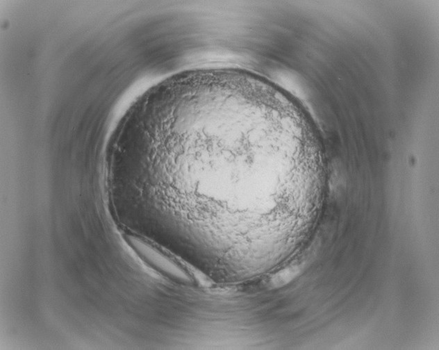 X0000066091472200603241444