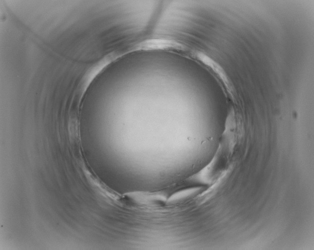 X0000066091473200603241444