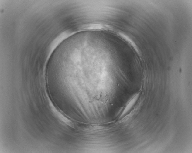 X0000066091475200603241444