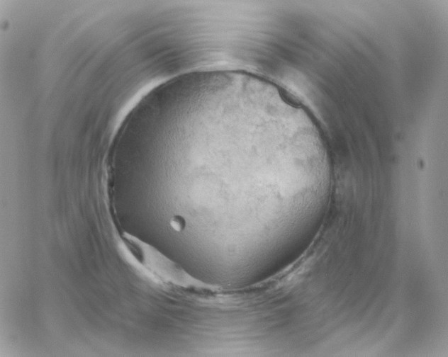 X0000066091476200603241444