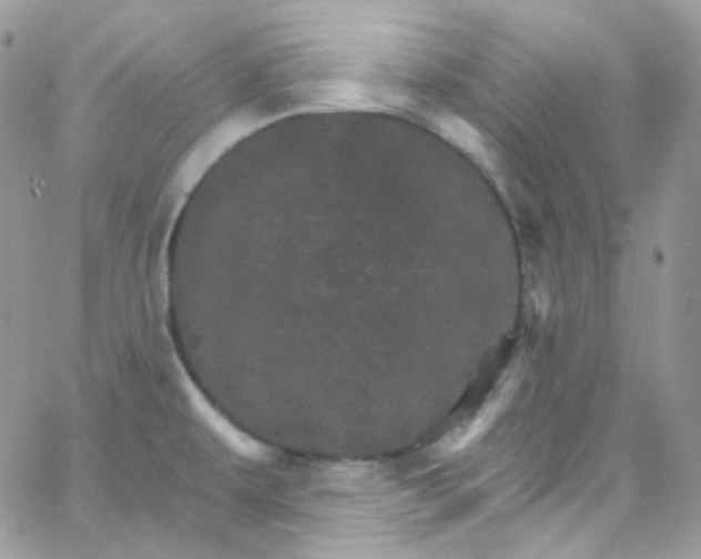 X0000066091479200603241444