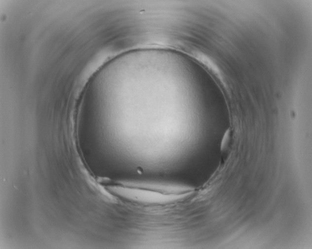 X0000066091480200603241444