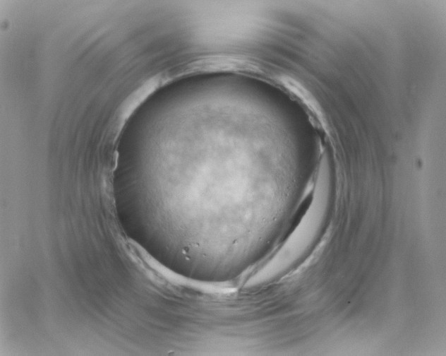 X0000066091481200603241444