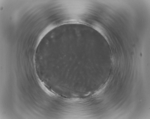 X0000066091482200603241444