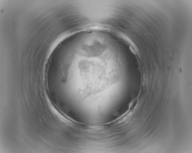 X0000066091483200603241444