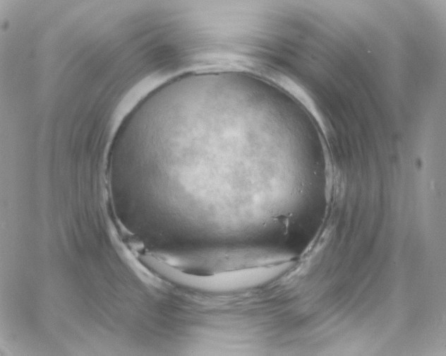 X0000066091485200603241444