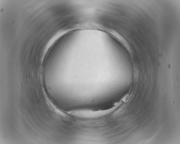 X0000066091486200603241444