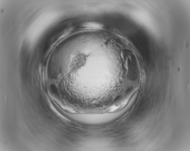 X0000066091487200603241444