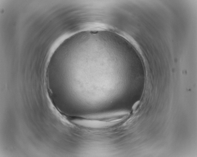 X0000066091488200603241444