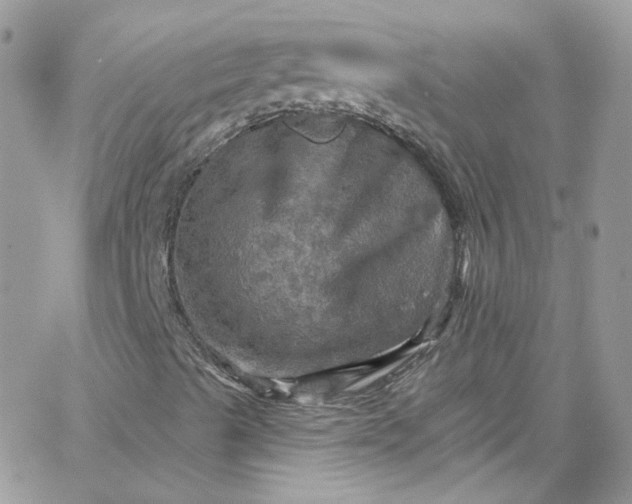 X0000066091489200603241443