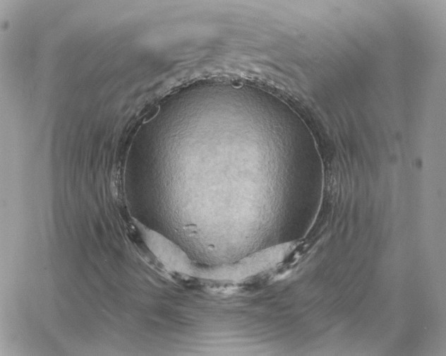 X0000066091490200603241443