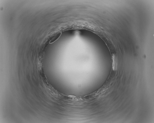 X0000066091491200603241443