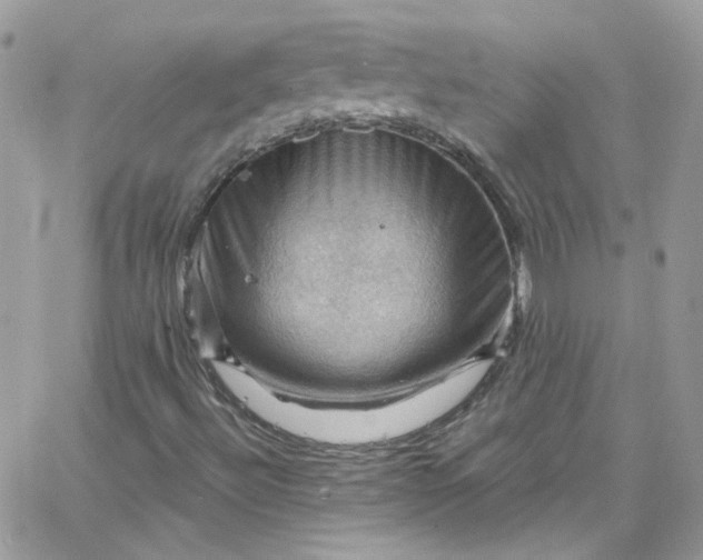 X0000066091492200603241443