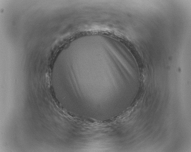 X0000066091493200603241443