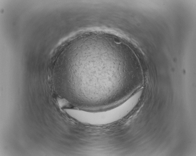 X0000066091494200603241443