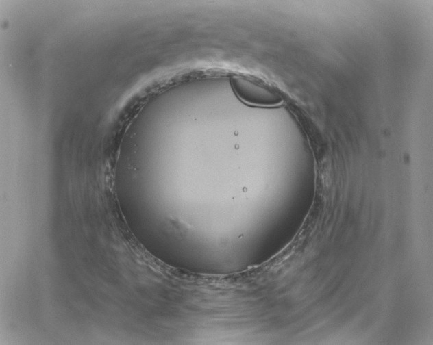 X0000066091495200603241444