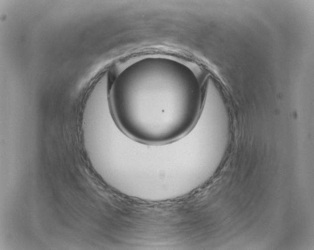 X0000066091496200603241444