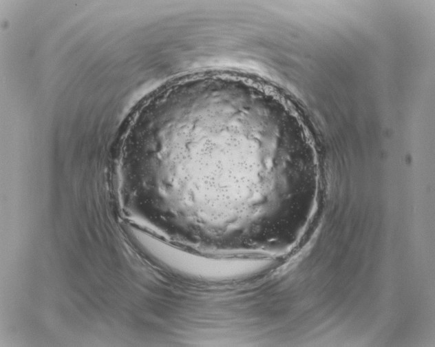 X0000066091497200603241444