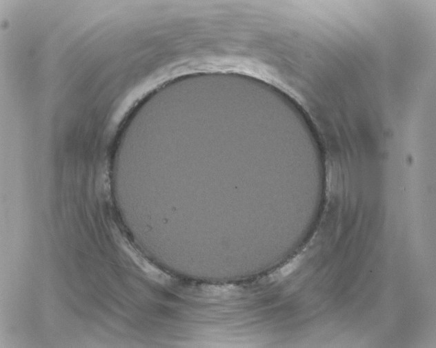 X0000066091498200603241444