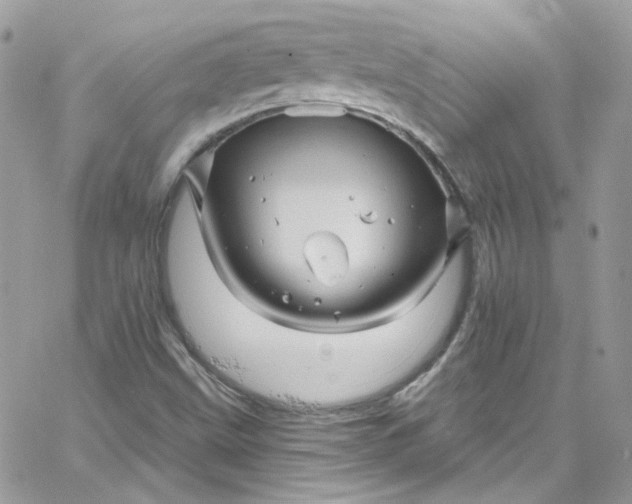 X0000066091499200603241444