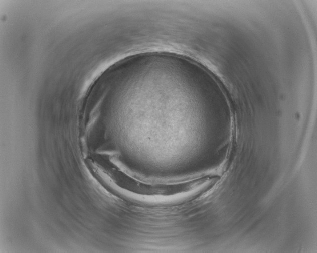 X0000066091500200603241444