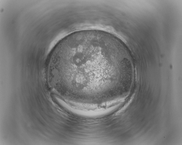 X0000066091501200603241444