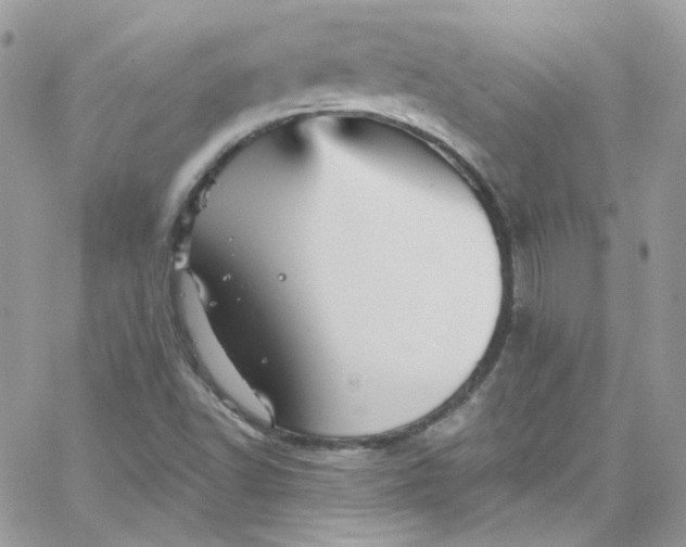 X0000066091502200603241444