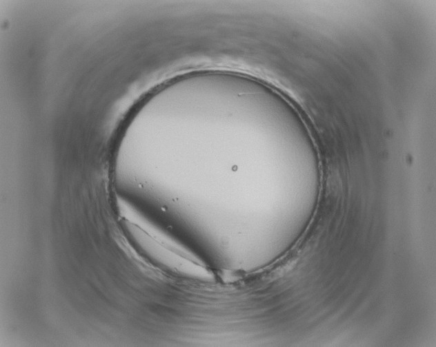 X0000066091503200603241444