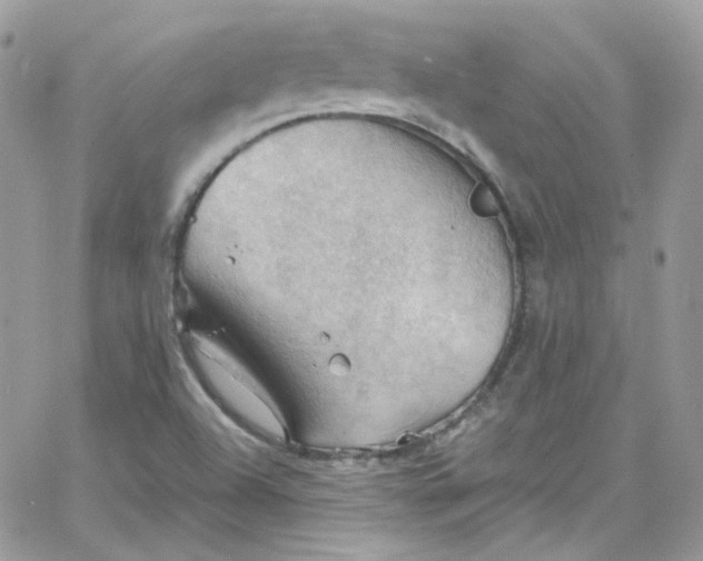 X0000066091504200603241444