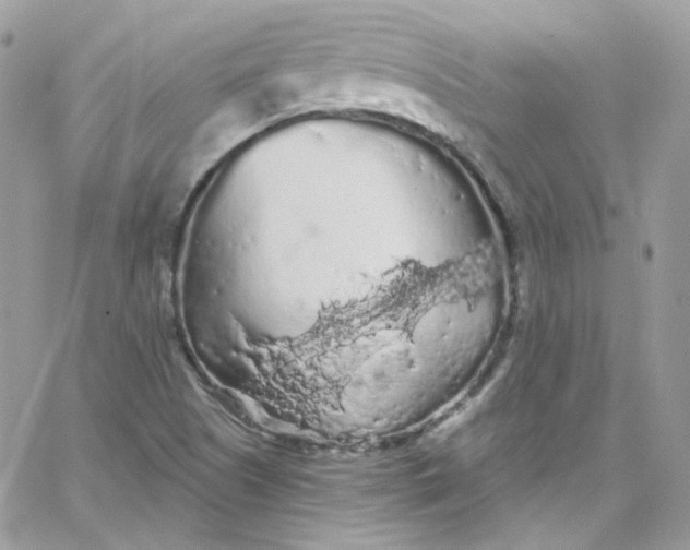 X0000066091505200603241444