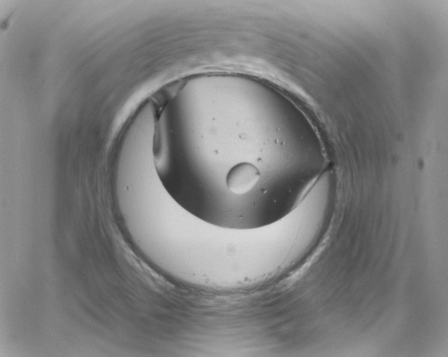 X0000066091506200603241444