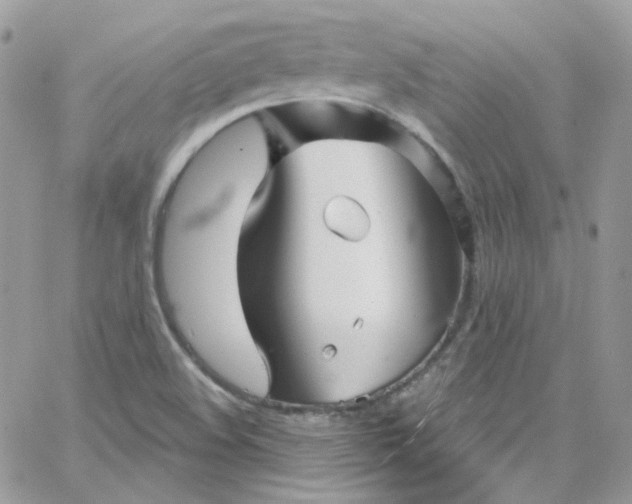 X0000066091508200603241444