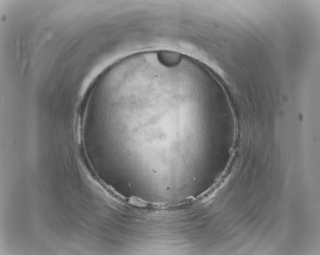 X0000066091510200603241444