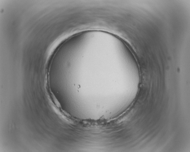 X0000066091511200603241444