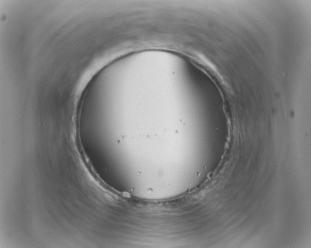 X0000066091512200603241444