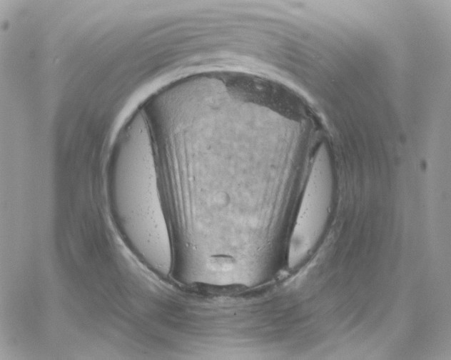 X0000066091514200603241444