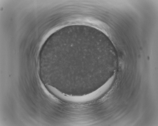 X0000066091515200603241444