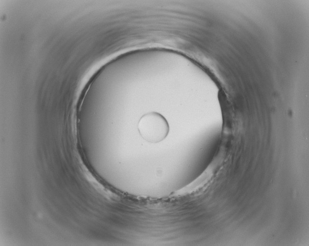 X0000066091516200603241444