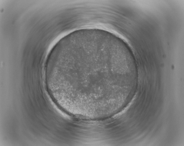 X0000066091517200603241444