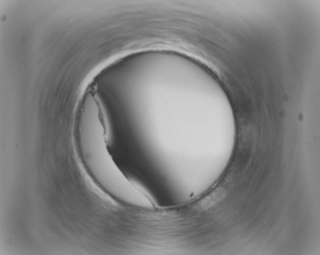 X0000066091518200603241444