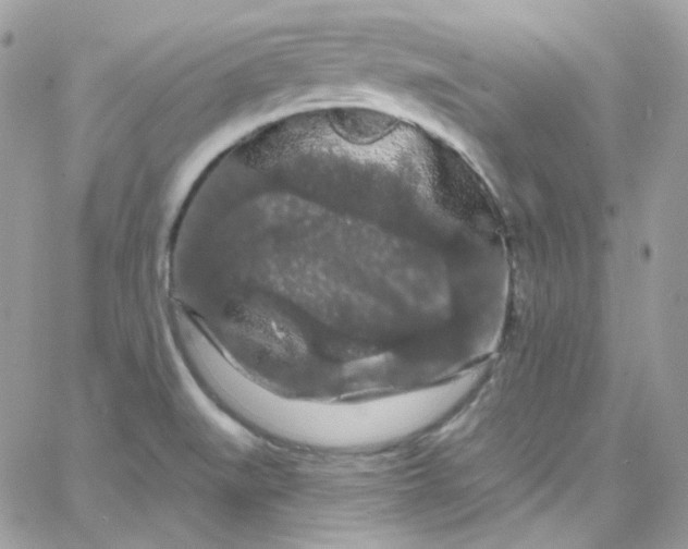 X0000066091519200603241444