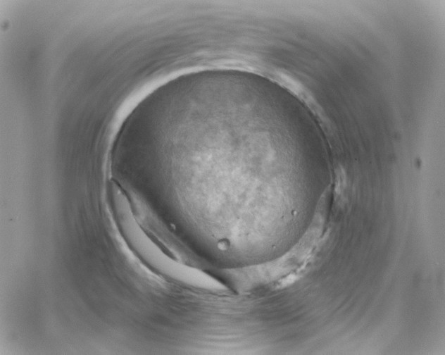 X0000066091520200603241444