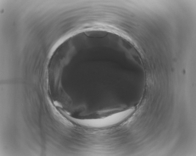 X0000066091522200603241444