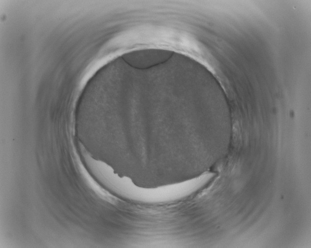 X0000066091523200603241444