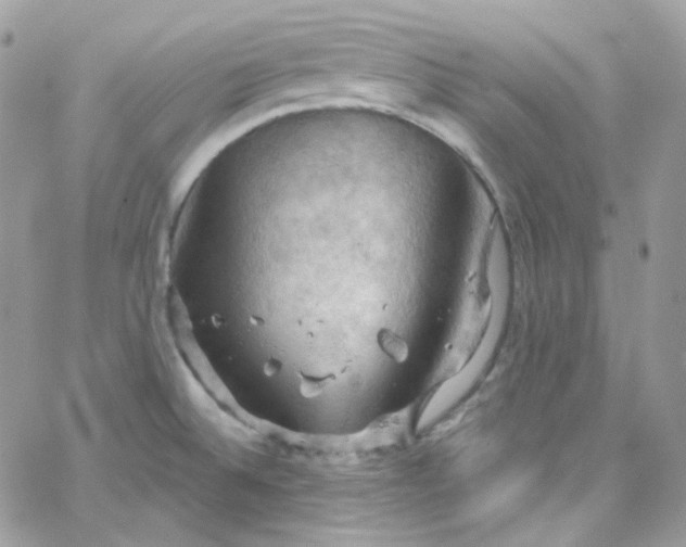 X0000066091524200603241444